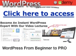 Svdp Wordpress from Beginner to Pro